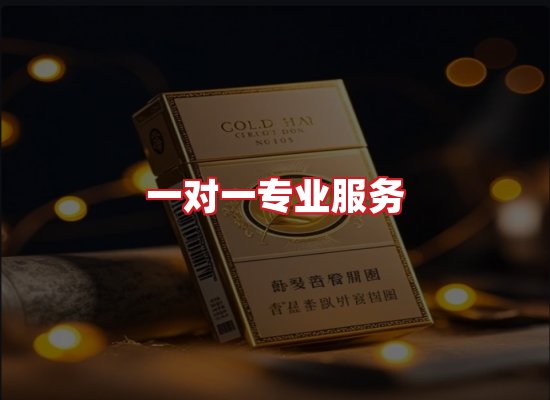 专业团队